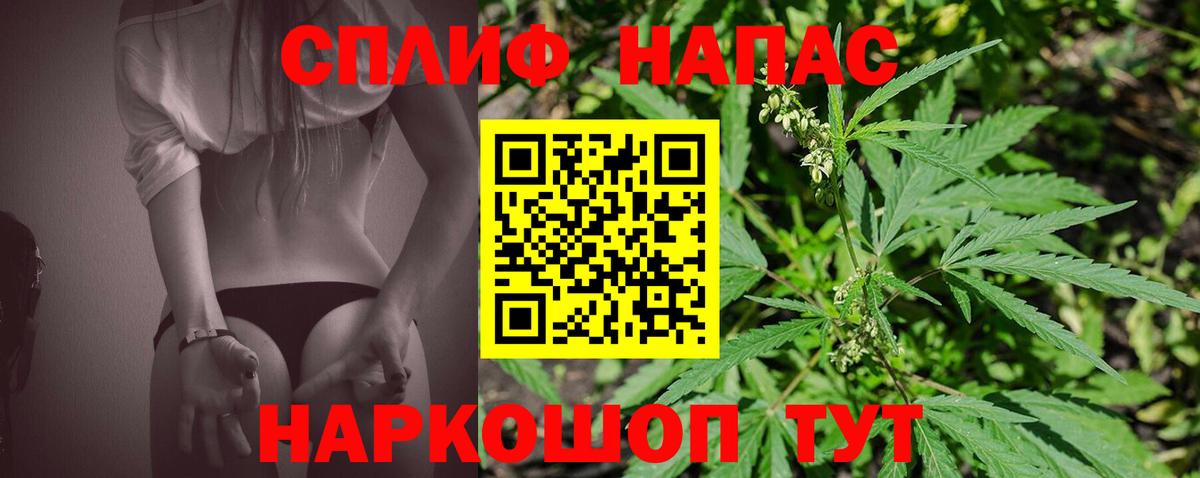 Бошки марихуана MAZAR Прохладный